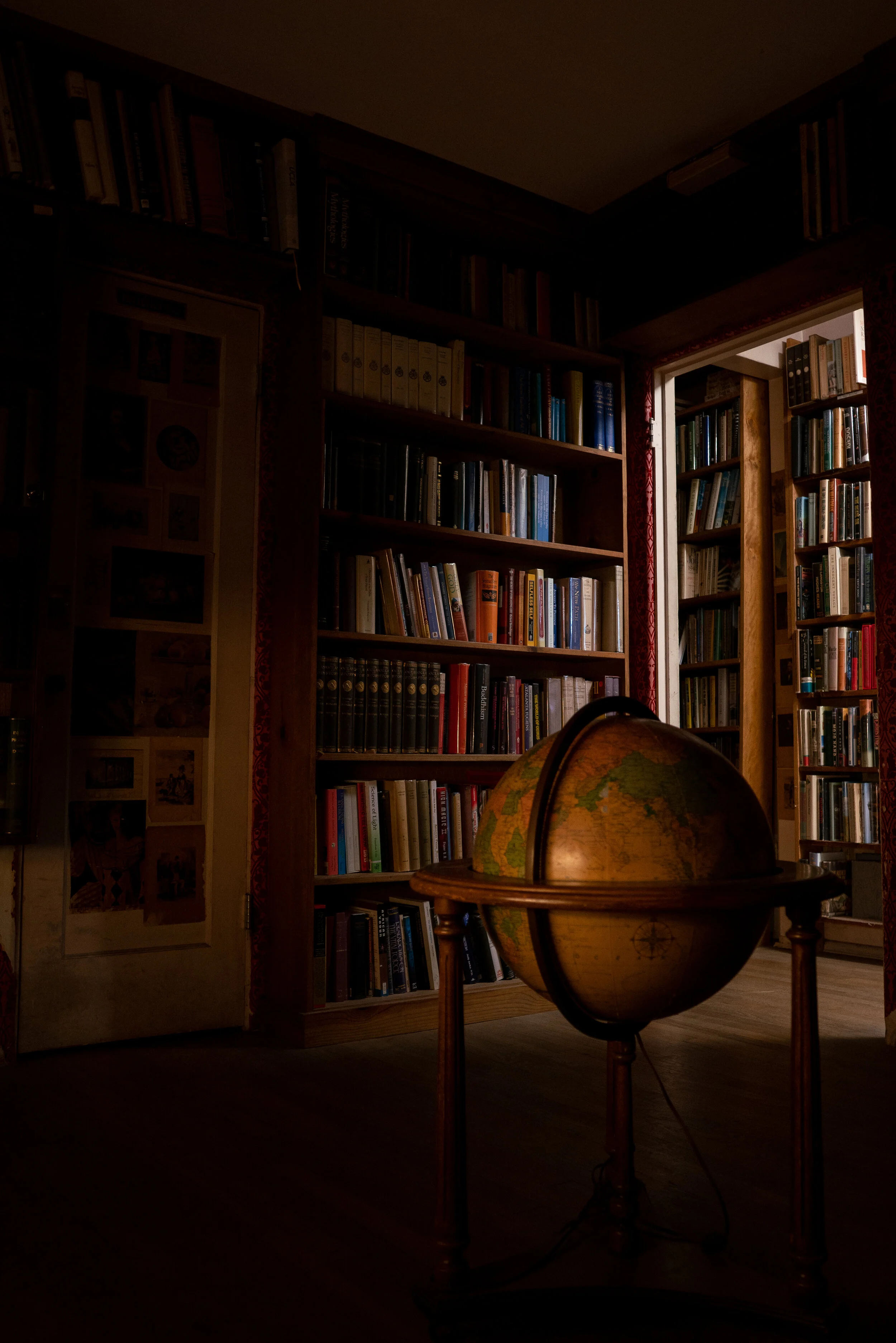 Outdoor bookshelf scene