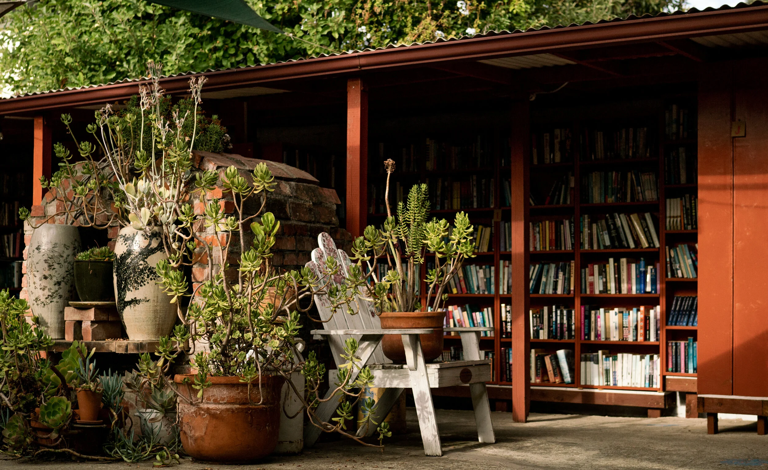 Visitor browsing books